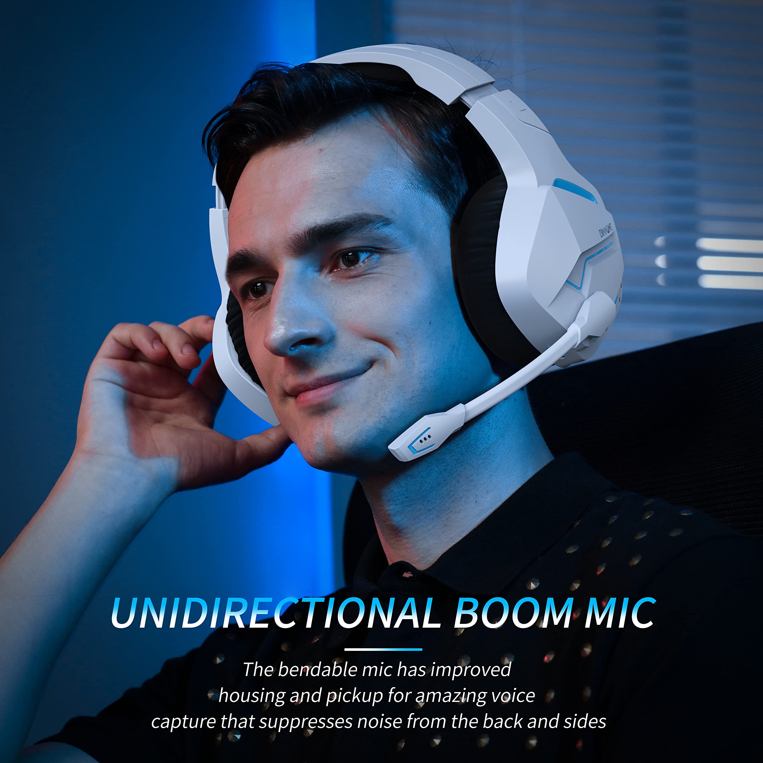 PC için mikrofon iptal gürültü - Home Cinema Headphones incelemesi ve fiyatı